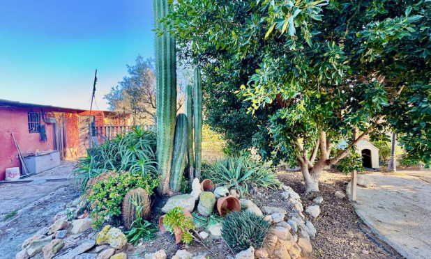 Resale - Finca / Country Property - Guardamar del Segura - Guardamar Del Segura