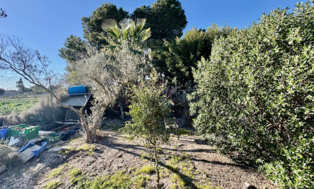 Resale - Finca / Country Property - Guardamar del Segura - Guardamar Del Segura