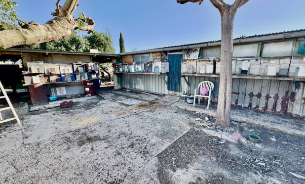 Resale - Finca / Country Property - Guardamar del Segura - Guardamar Del Segura