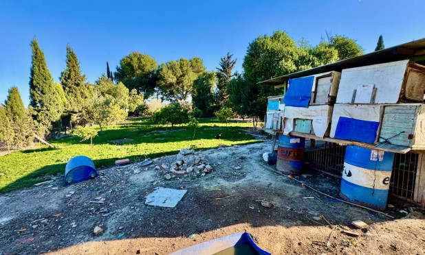 Resale - Finca / Country Property - Guardamar del Segura - Guardamar Del Segura