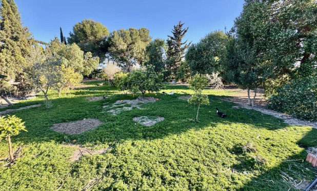 Resale - Finca / Country Property - Guardamar del Segura - Guardamar Del Segura