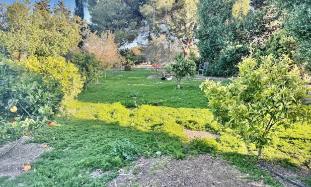 Resale - Finca / Country Property - Guardamar del Segura - Guardamar Del Segura