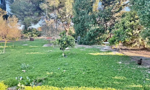 Resale - Finca / Country Property - Guardamar del Segura - Guardamar Del Segura