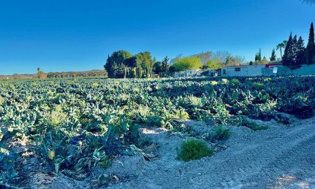 Resale - Finca / Country Property - Guardamar del Segura - Guardamar Del Segura