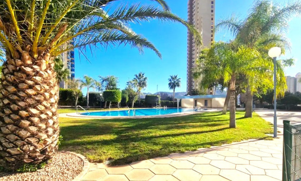 Resale - Apartment / flat - Benidorm - Levante