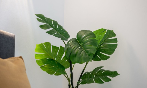 Resale - Apartment / flat - Orihuela Costa - Punta Prima