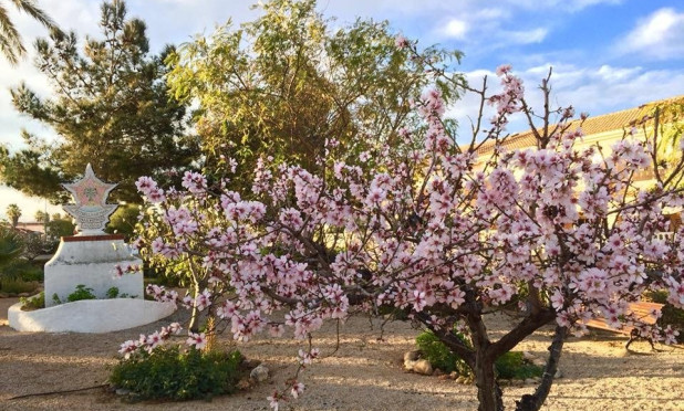 Nieuwbouw Woningen - Villa - Los Urrutias - Estrella De Mar