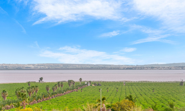Resale - Apartment / flat - Torrevieja - Los Balcones