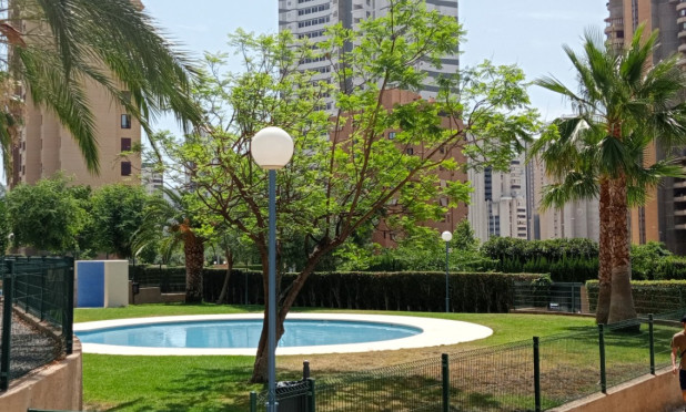 Resale - Apartment / flat - Benidorm - Levante