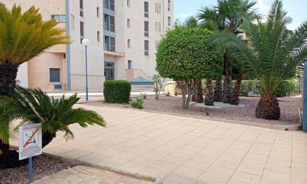 Resale - Apartment / flat - Benidorm - Levante