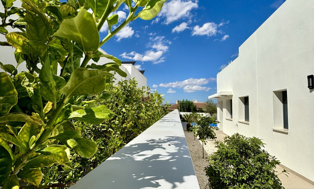 Neue Gebäude - Villa - Benijofar