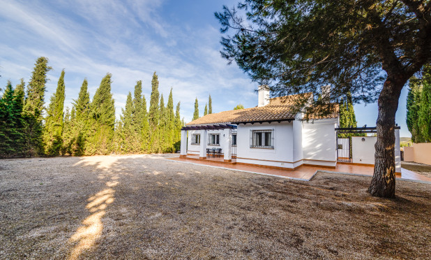 Nowy budynek - Villa - Fuente Álamo - Fuente Alamo