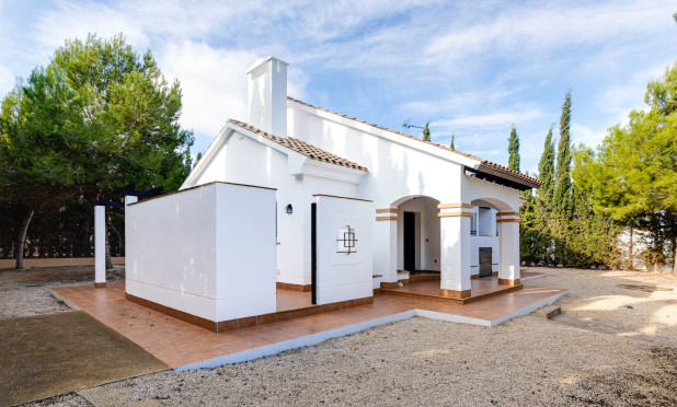 Nowy budynek - Villa - Fuente Álamo - Fuente Alamo