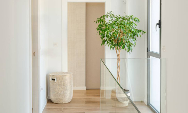 Neue Gebäude - Villa - Molina De Segura - Molina de Segura