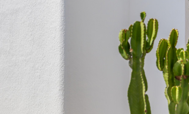 New Build - Villa - Los Alcazares - Los Alcázares