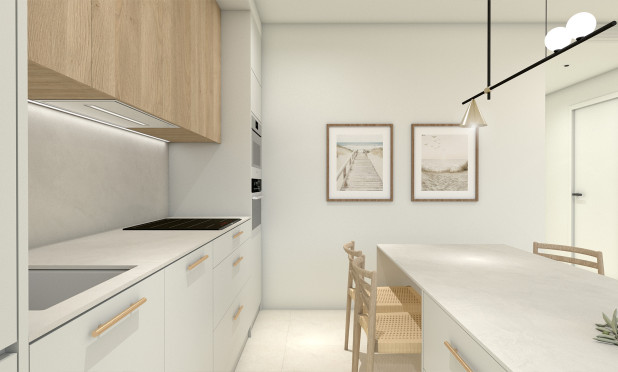 Nouvelle construction - Maison de ville - Pilar de la Horadada