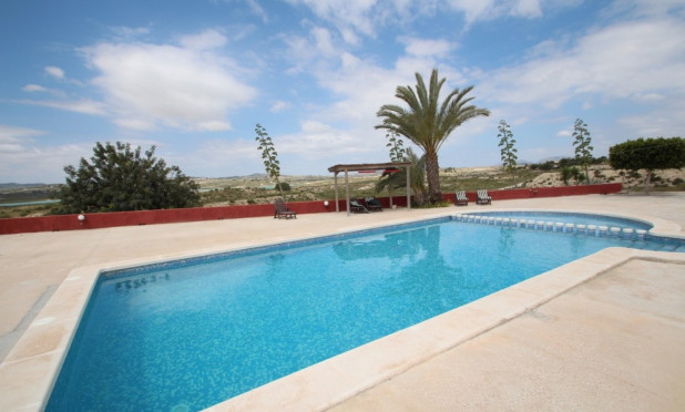 Wiederverkauf - Finca / Country Property - Orihuela - Torremendo