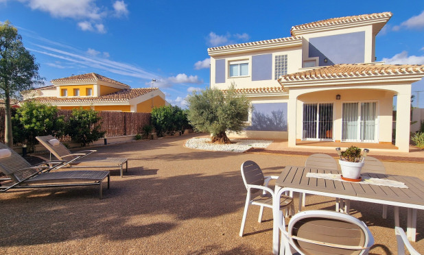 Nowy budynek - Villa - Purias