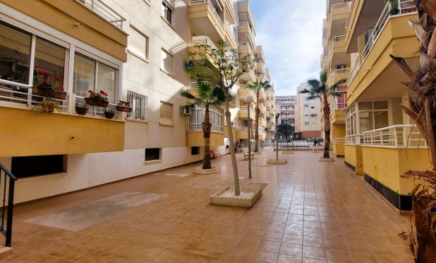 Wiederverkauf - Wohnung - Torrevieja - Centro