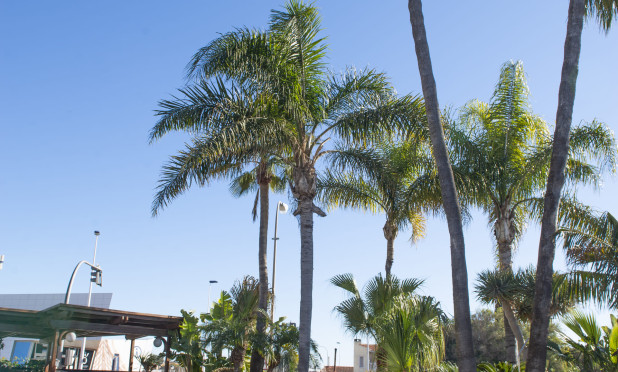 Nieuwbouw Woningen - Villa - San Pedro del Pinatar - San Pedro Del Pinatar