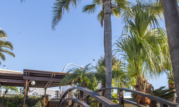 Nieuwbouw Woningen - Villa - San Pedro del Pinatar - San Pedro Del Pinatar