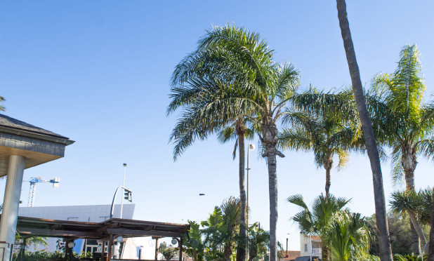 Nieuwbouw Woningen - Villa - San Pedro del Pinatar - San Pedro Del Pinatar