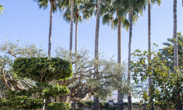 Nieuwbouw Woningen - Villa - San Pedro del Pinatar - San Pedro Del Pinatar