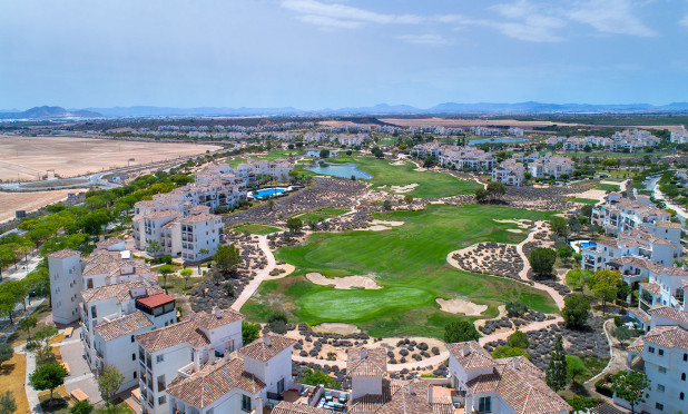 Nowy budynek - Kamienica - Sucina