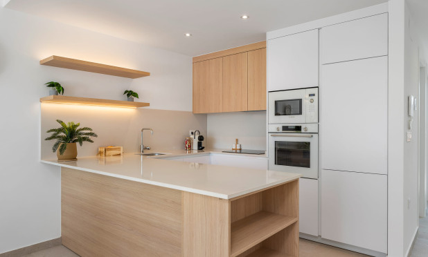 Nouvelle construction - Maison de ville - Dolores