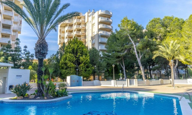 Reventa - Apartamento / piso - Orihuela Costa - Campoamor