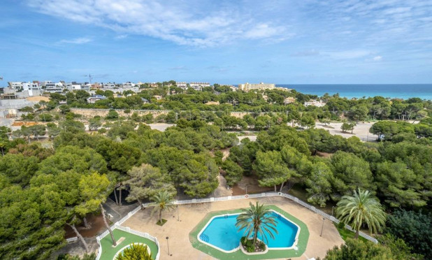 Wiederverkauf - Wohnung - Orihuela Costa - Campoamor