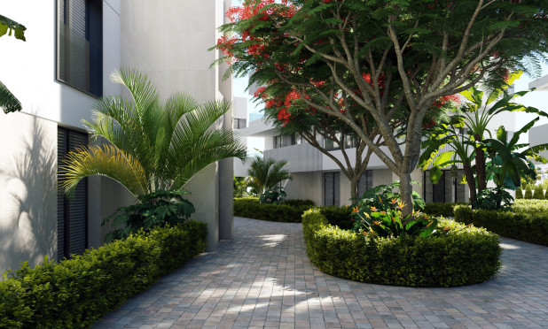 Nouvelle construction - Attique - Torre Pacheco - Torre-pacheco