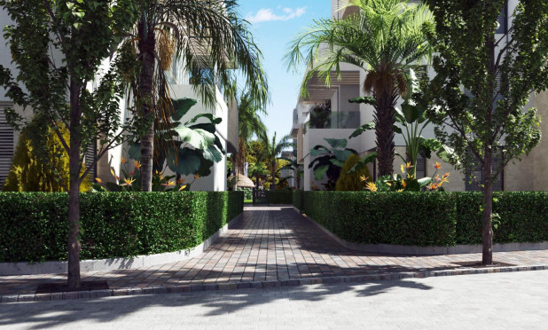 Nouvelle construction - Attique - Torre Pacheco - Torre-pacheco