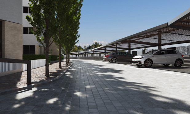 New Build - Apartment / flat - Torre Pacheco - Torre-pacheco