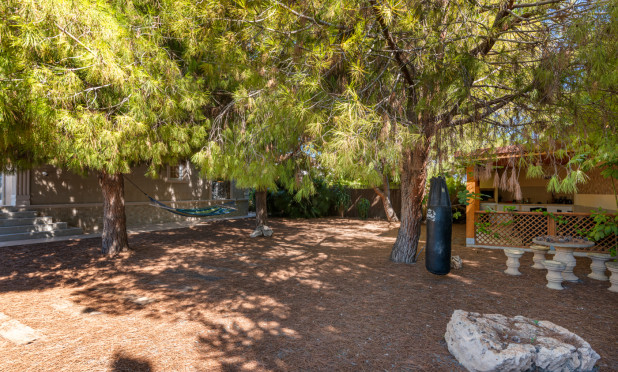 Resale - Villa - Ciudad Quesada - Doña pepa