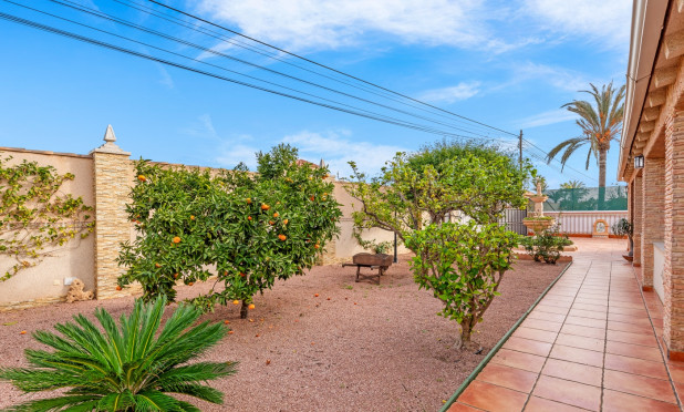 Revente - Villa - Torrevieja - torrevieja