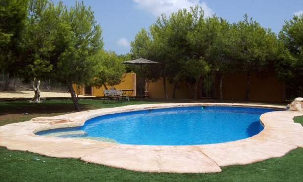 Wiederverkauf - Finca / Country Property - Ciudad Quesada - Lo Pepin