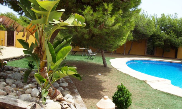 Revente - Finca / Country Property - Ciudad Quesada - Lo Pepin