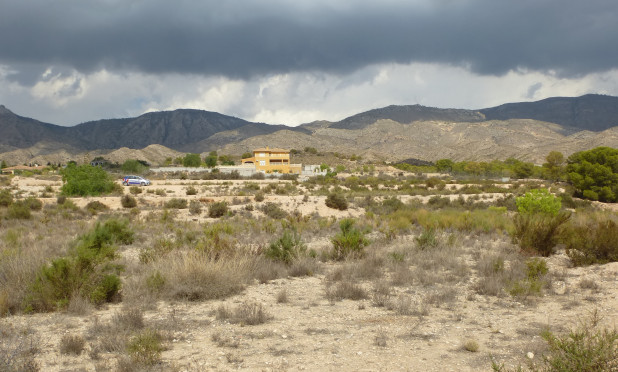 Herverkoop - Perceel / Grond - Crevillente - Crevillente - Country