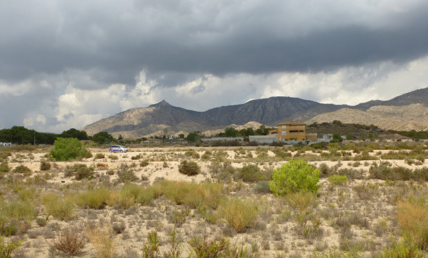 Revente - Parcelle / Terrain - Crevillente - Crevillente - Country