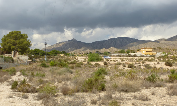 Reventa - Parcela / Terreno - Crevillente - Crevillente - Country