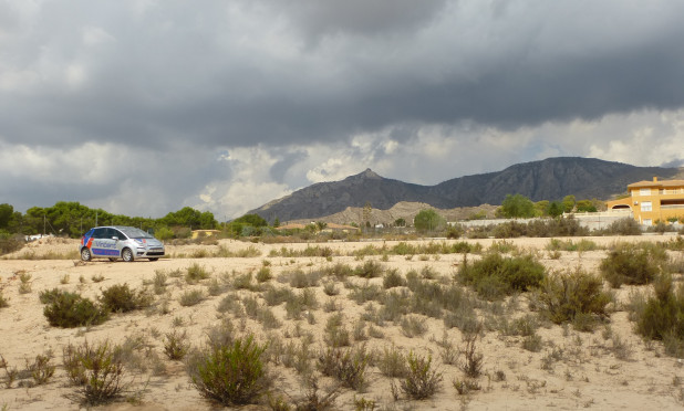 Revente - Parcelle / Terrain - Crevillente - Crevillente - Country