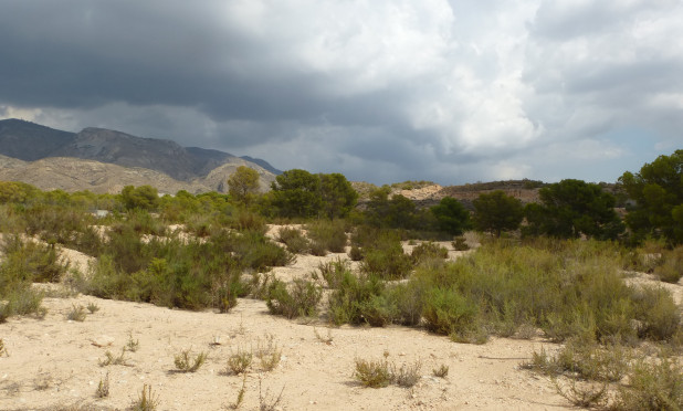 Revente - Parcelle / Terrain - Crevillente - Crevillente - Country