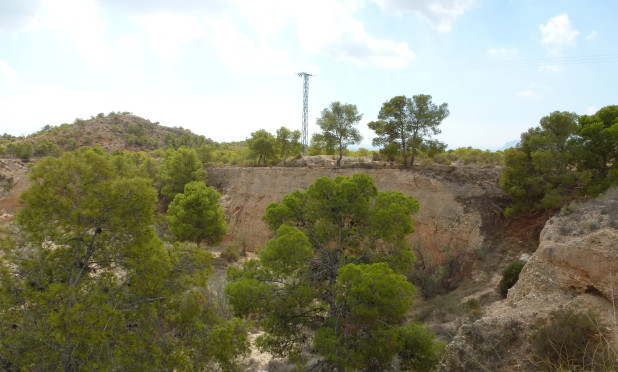 Reventa - Parcela / Terreno - Crevillente - Crevillente - Country