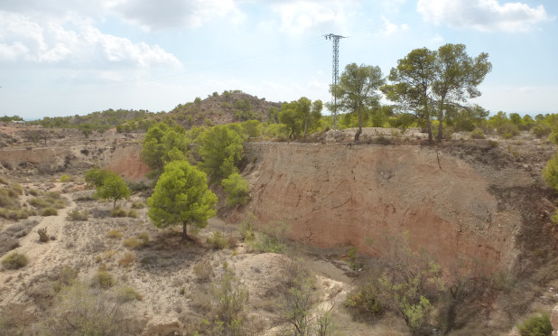 Reventa - Parcela / Terreno - Crevillente - Crevillente - Country