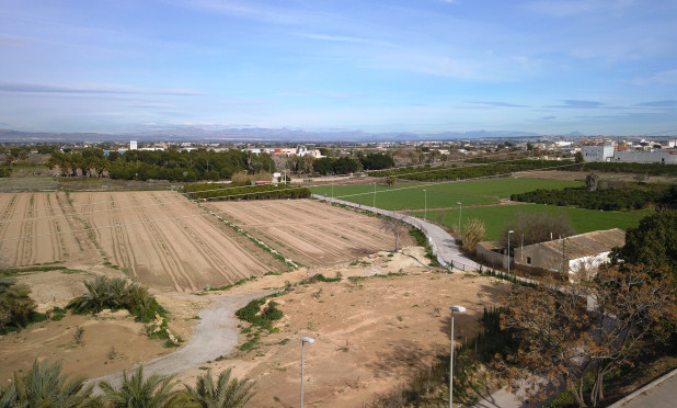 Revente - Parcelle / Terrain - Benijofar - Benijofar - Village