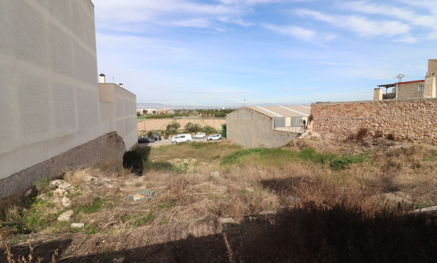 Revente - Parcelle / Terrain - Benijofar - Benijofar - Village