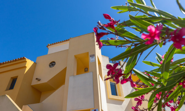 Odsprzedaż - Mieszkanie w bloku - Torrevieja - Los Altos