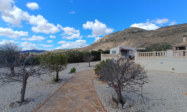 Odsprzedaż - Villa - Fortuna