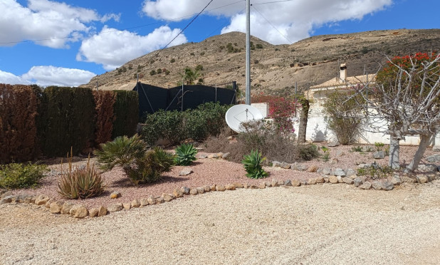 Odsprzedaż - Villa - Fortuna